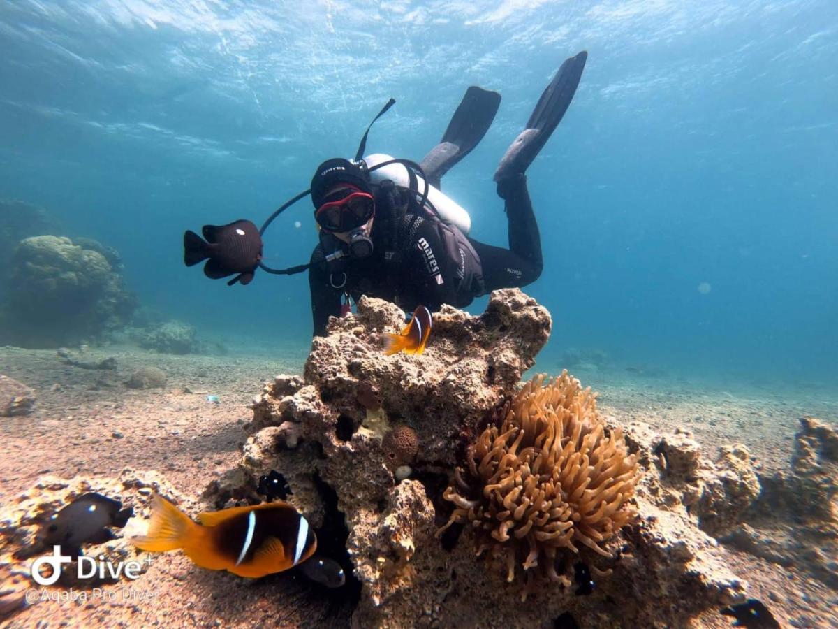 Aqaba Pro Divers Екстер'єр фото