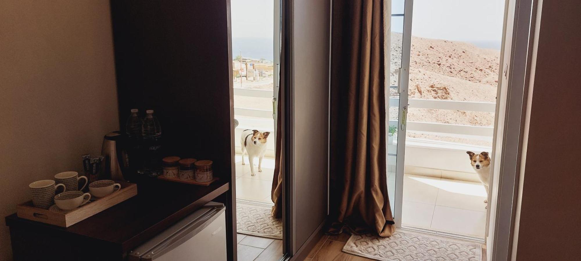 Aqaba Pro Divers Екстер'єр фото
