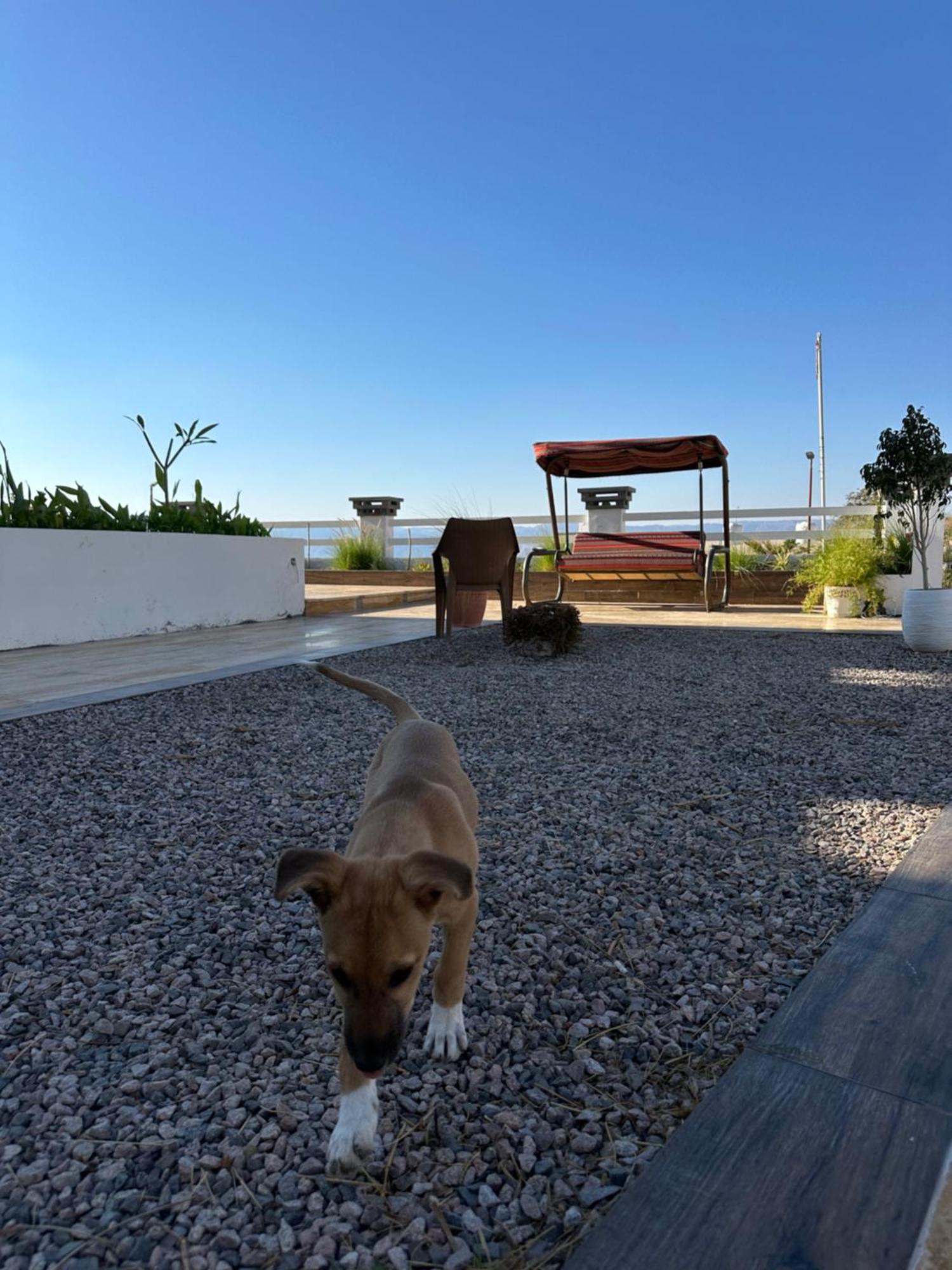 Aqaba Pro Divers Екстер'єр фото